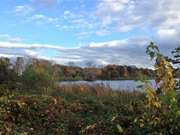 Herbstliches Ufer-Panorama: Blick ber den Klpinsee auf Usedom.