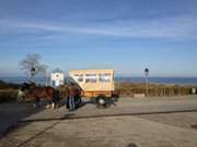 Seebad Lubmin: Mit der Pferdekutsche ber die Strandpromenade.