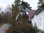 Winterarbeiten: Bei den Ferienwohnungen Alter Schulgarten werden Straßenbäume geschnitten.
