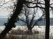 Der Kölpinsee in der Inselmitte: Winterurlaub auf Usedom.