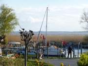 Sportboothafen am Achterwasser: Seebad Loddin auf Usedom.