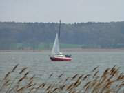 Wassersport auf dem Achterwasser: Segelboot bei ckeritz.