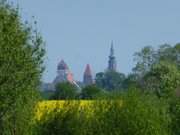 Blick in die Ferne: Greifswald vom Schlosspark aus gesehen.