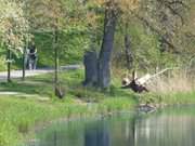 Auf dem Kstenradweg: Radfahrer am Klpinsee.