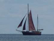Die Pommersche Bucht entlang: Segelschiff Ernestine.