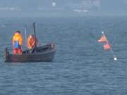 Netze einholen: Fischerei auf dem Achterwasser bei Neppermin.