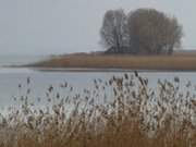 Usedomer Halbinsel Gnitz: Das Achterwasser.