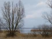Usedom im Dezember: Der Mellsee auf der Halbinsel Gnitz.