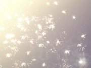 Das neue Jahr begrüßen: Feuerwerk am Usedomer Himmel.