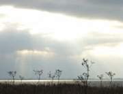 Zwischen Loddin und Koserow: Dunkle Wolken ber dem Achterwasser.