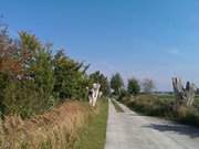 Hinterland von Usedom: Radweg durch das Thurbruch.