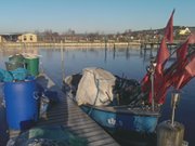 Festgefroren: Fischereigert am Achterwasserhafen Loddin.