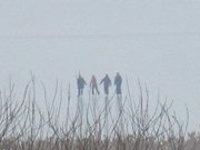 Schlittschuhlaufen auf dem Achterwasser: Usedom im Winter.