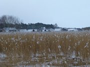 Seebad Loddin am Achterwasser: Schnee auf Usedom.
