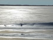 Das Achterwasser: Unendliche Eisflche vor Usedom.