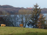 Hinter dem Schmollensee: Schloss Pudagla im Usedomer Hinterland.