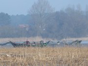 Achterwasser an der Usedomer Halbinsel Gnitz.