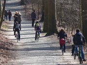 Radfahren auf Usedom: Kstenradweg in der Nhe von Bansin.