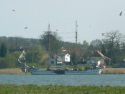 Nepperminer See: Segelschiff auf dem Achterwasser.