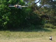 Luftbilder werden gemacht: Kater Igor und die Foto-Drohne.
