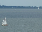 Wassersport auf Usedom: Segelboote auf dem Achterwasser.