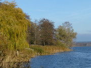 Im Usedomer Hinterland: Am Ufer des Schmollensees.