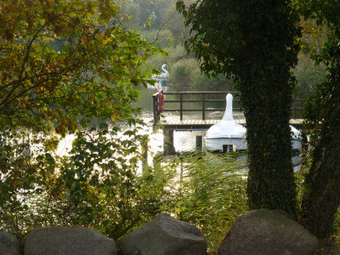 Durchblick: Tretboote am Steg im Kölpinsee.