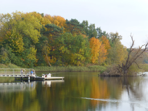 Wunderbare Farben: Herbst am Kölpinsee.