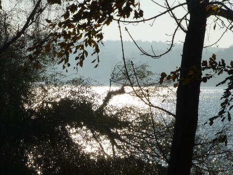 Gegenlicht: Der Kölpinsee im Seebad Loddin.