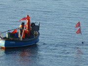 Netze berprfen: Fischerboot auf dem Achterwasser.