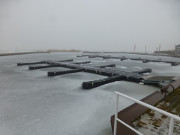 Zugefroren: Auch im Hafen des Seebades ckeritz liegt Eis.