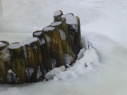 Achterwasserhafen ckeritz: Das Eis schiebt sich an die Hlzer.