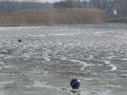 Ball: Eis auf dem Stettiner Haff an der polnischen Grenze.