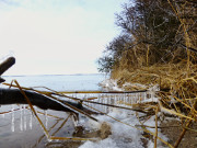Eisgirlanden am Peenestrom: Usedomer Halbinsel Gnitz im Winter.