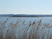 Insel Werder: Achterwasser und Nepperminer See.