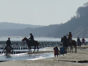 Reiturlaub auf Usedom: Mit den Pferden auf den Ostseestrand.