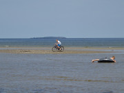 Im Hintergrund Greifswalder Oie: Mit dem Fahrrad durch die Ostsee.