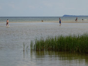 Ende des Sandstrandes von Usedom: Badespa im flachen Ostseewasser.