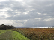 Wanderungen ber Usedom: Auf dem Achterwasserdeich.