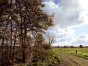 Plattenweg durch das Thurbruch: Auf dem Weg nach Kachlin.