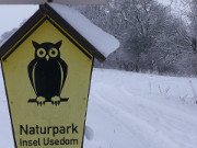 Naturpark Insel Usedom: Loddiner Hft im Winter.