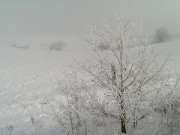 Der Winter ist zurck: Auf dem Hftberg bei Loddin.