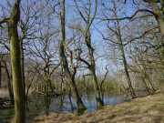 Hoher Wasserstand: Sumpfgebiete auf dem Peenemnder Haken.