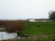 Landschaft am Achterwasser: Osten des Loddiner Höfts.