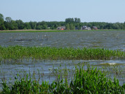 Mai auf der Halbinsel Gnitz: Ltow am Achterwasser.