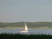 Wassersport auf Usedom: Mit dem Segelboot auf das Achterwasser.