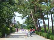 Ostseebad Bansin auf Usedom: Radfahrer auf der Strandpromenade.