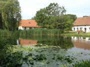 Dorf Stolpe im Süden Usedoms: Wohnhäuser am Dorfteich.