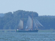 Segelschiff auf dem Peenestrom: Boddengewässer Usedoms.