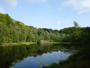 Naturpark Insel Usedom: Nordufer des Mmmelkensees.